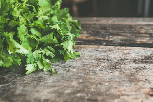 fresh herbs in a garden