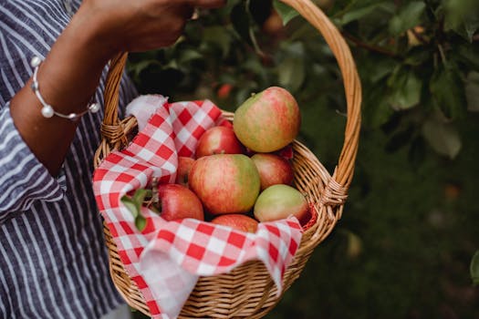 fresh seasonal fruits in a basket