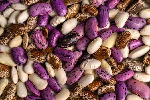 variety of beans and legumes